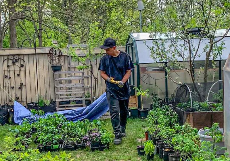 How to Transition Plants from Inside to Outside + Our Preferred Method to Save Time in the Garden!