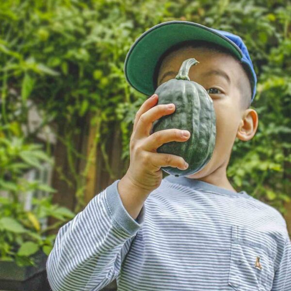 Don’t Waste June: 5 Vegetables to Plant RIGHT NOW Before It’s Too Late